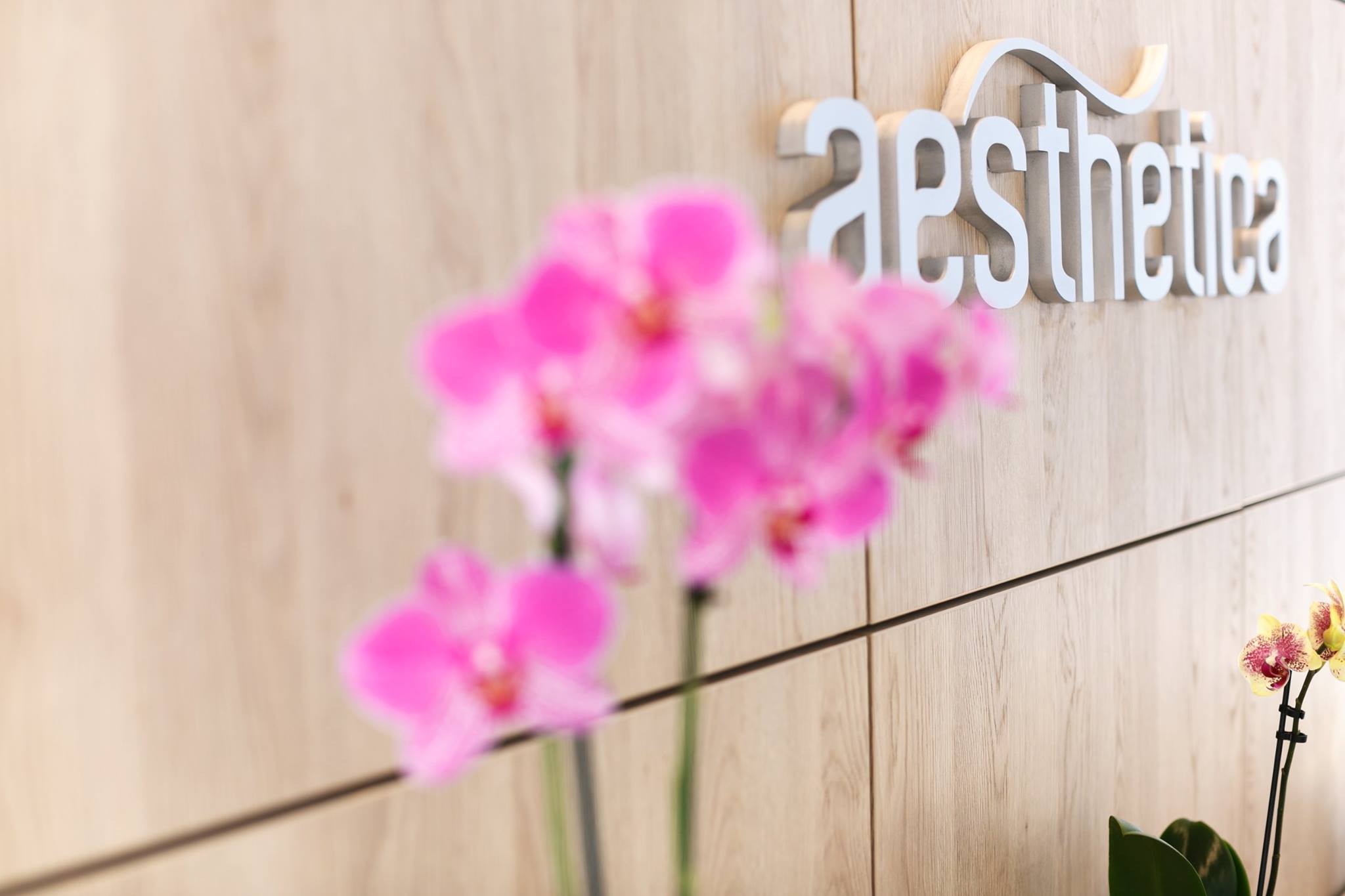 Clinica Aesthetica(3)