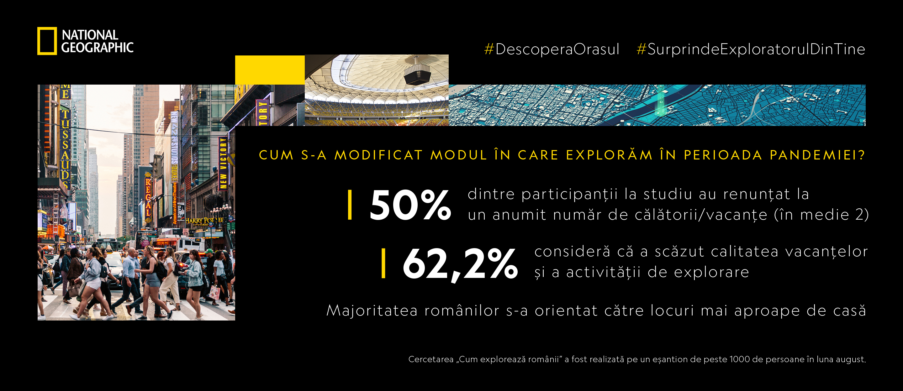 Infografice-digital