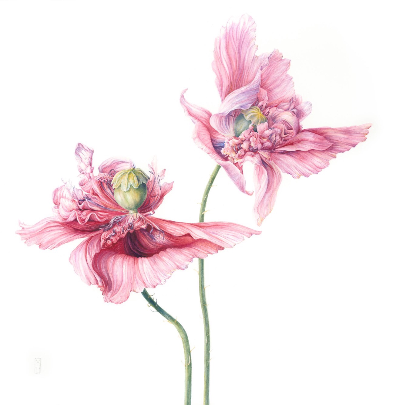 mary dillon (3)