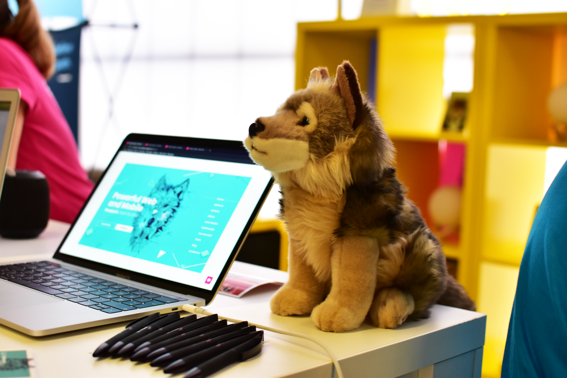 wolfpack-digital-development-team-stand