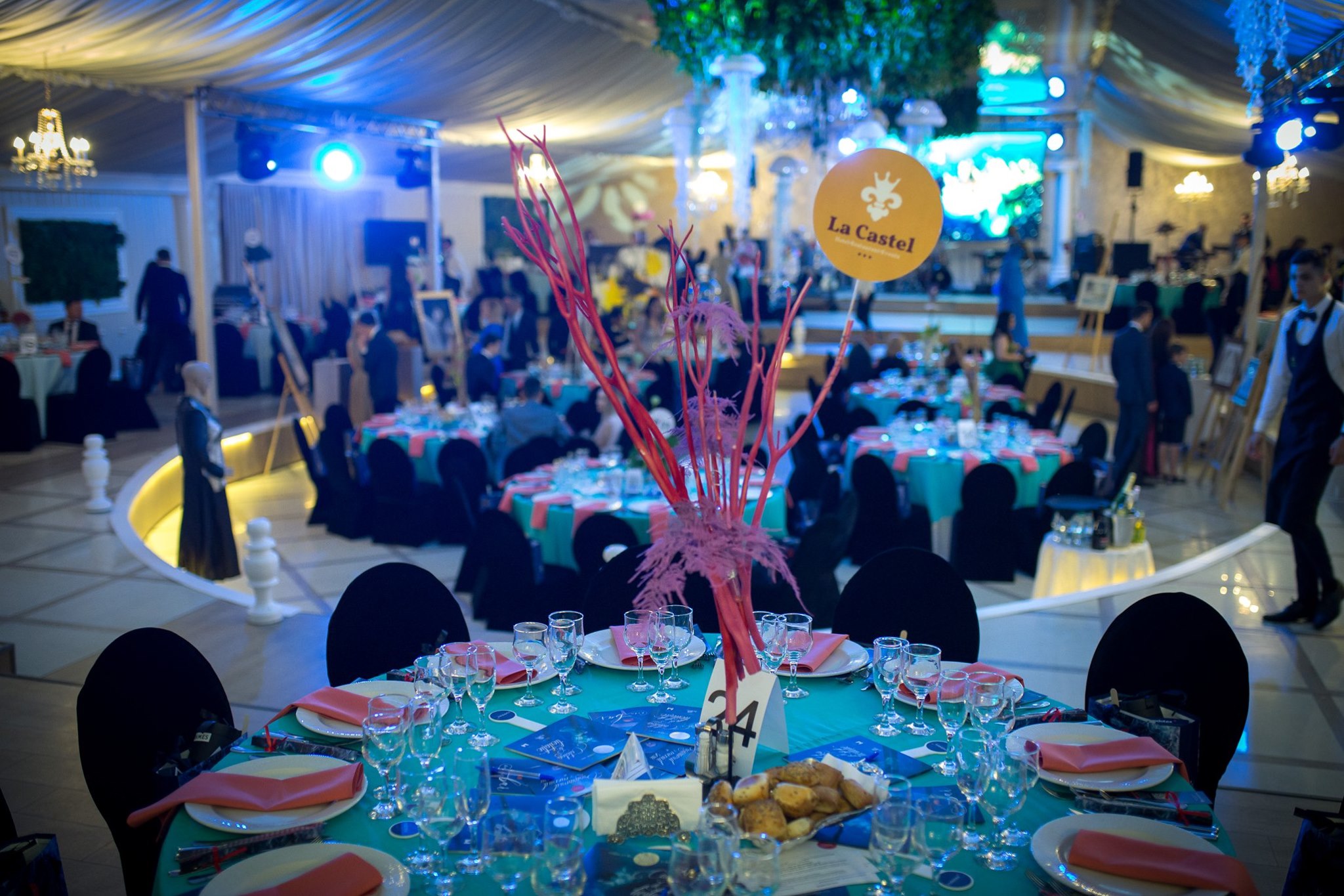 Balul de La Castel 2019 - 4