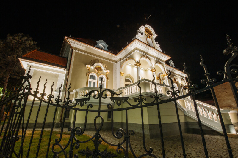 Cocoșul de aur - Bianca Rotbășan ROMB360 (1)